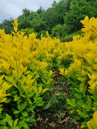 김은옥님의 작성글 사진