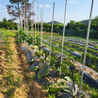 동호동 윤상임님의 자유주제 · 자유게시판 작성글 사진