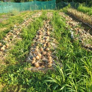 동호동 윤상임님의 자유주제 · 자유게시판 작성글 사진