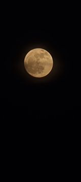 팜모닝 자유주제·자유게시판 게시글 이미지