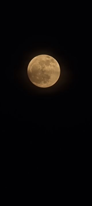 희망농부58님의 자유주제 · 자유게시판 작성글 사진