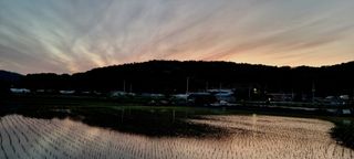 희망농부58님의 자유주제 · 자유게시판 작성글 사진