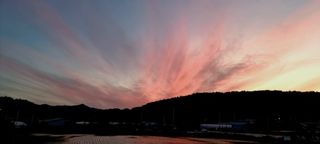 희망농부58님의 자유주제 · 자유게시판 작성글 사진