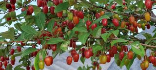 희망농부58님의 자유주제 · 자유게시판 작성글 사진