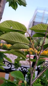 팜모닝 우리동네·구합니다/도움요청 게시글 이미지