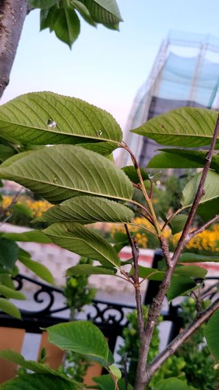 이근희13573님의 우리동네 · 구합니다/도움요청 작성글 사진