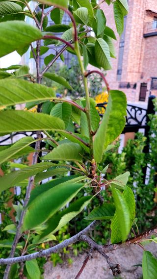 이근희13573님의 우리동네 · 구합니다/도움요청 작성글 사진