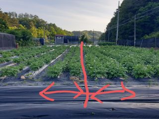 김형찬님의 감자 · 자유게시판 작성글 사진