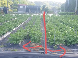 김형찬님의 감자 · 자유게시판 작성글 사진