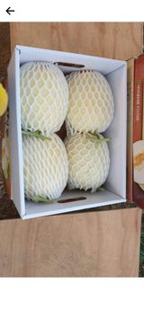 팜모닝 · 게시글 이미지