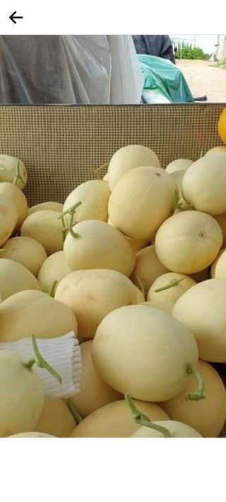 고철규님의 작성글 사진