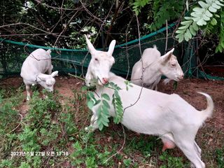 박태옥님의 장터이야기 · 자유게시판 작성글 사진