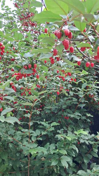 박태옥님의 장터이야기 · 자유게시판 작성글 사진