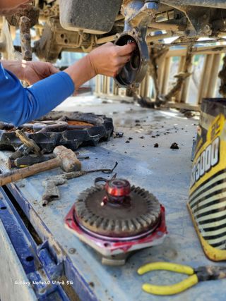 기원운님의 벼 · 자유게시판 작성글 사진