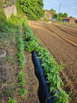 팜모닝 콩·자유게시판 게시글 이미지