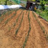 팜모닝 파·자유게시판 게시글 이미지