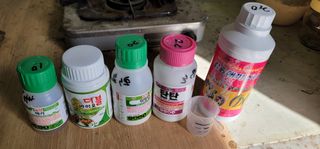 박진욱님의 고추 · 병해충상담 작성글 사진