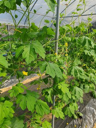 청암농장이은종님의 자유주제 · 자유게시판 작성글 사진