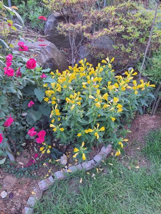 김종옥님의 자유주제 · 자유게시판 작성글 사진