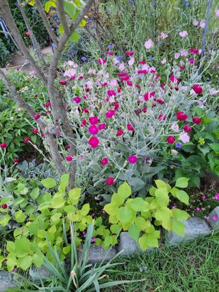 김종옥님의 자유주제 · 자유게시판 작성글 사진