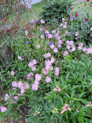 김종옥님의 자유주제 · 자유게시판 작성글 사진