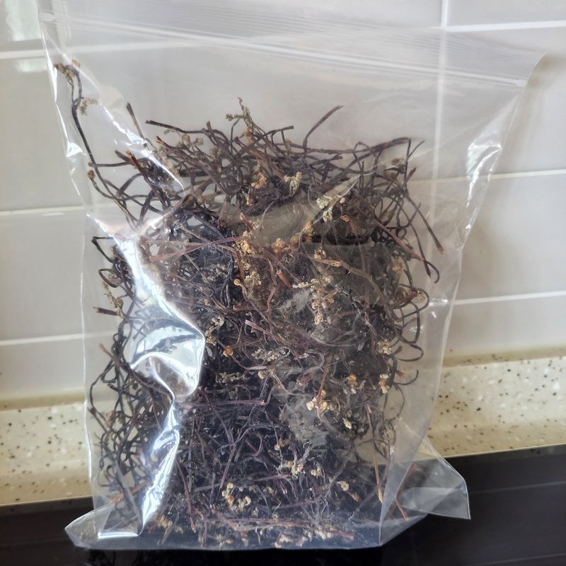 농부쑤니님의 장터 판매 상품 [경북 문경 건고사리 100g(직접수확)] 첨부 사진