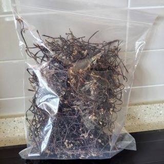 농부쑤니님의 작성글 사진