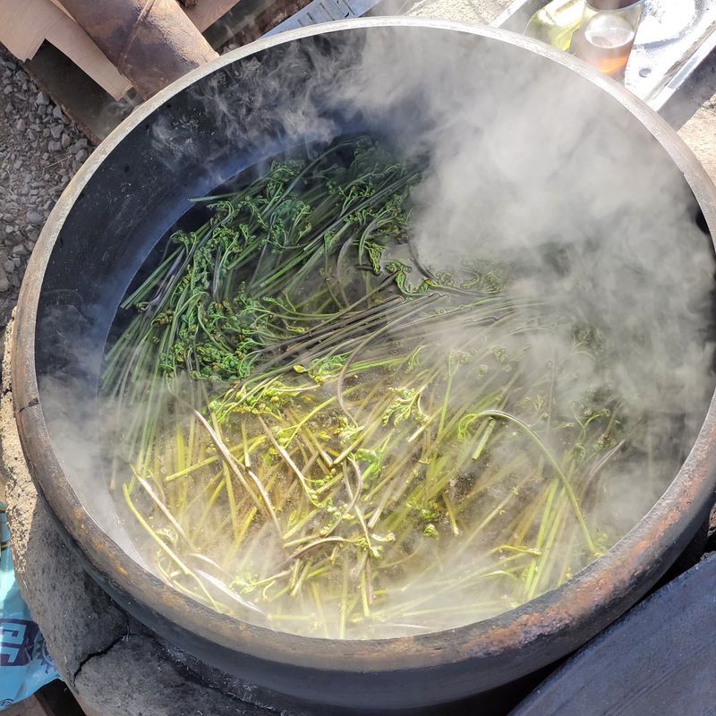 농부쑤니님의 장터 판매 상품 [경북 문경 건고사리 100g(직접수확)] 첨부 사진