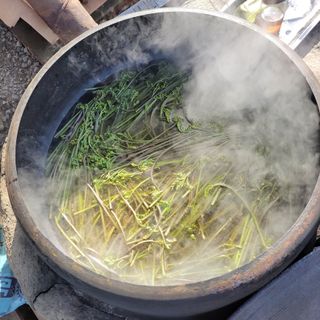 농부쑤니님의 작성글 사진