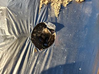 HYUN님의 참깨 · 자유게시판 작성글 사진