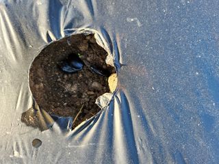 HYUN님의 참깨 · 자유게시판 작성글 사진