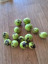 팜모닝 자유주제·건의해요 게시글 이미지