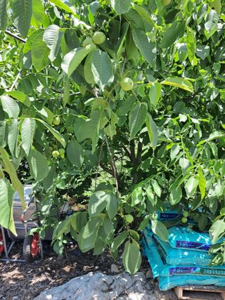 윤 인자님의 자유주제 · 건의해요 작성글 사진