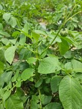 팜모닝 자유주제·사진전 게시글 이미지