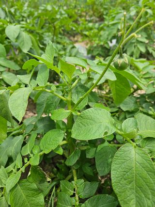 홍쭈네농장님의 자유주제 · 사진전 작성글 사진