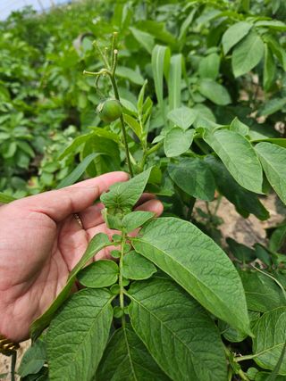 홍쭈네농장님의 자유주제 · 사진전 작성글 사진