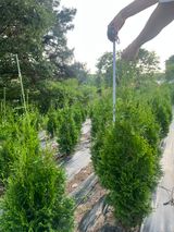 팜모닝 기타작물·자유게시판 게시글 이미지