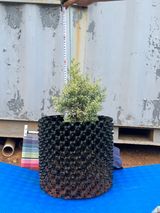 팜모닝 기타작물·자유게시판 게시글 이미지