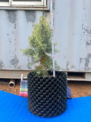 충남 아산 박양석 님의 기타작물 · 자유게시판 작성글 사진