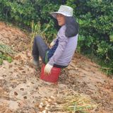 팜모닝 자유주제·사진전 게시글 이미지