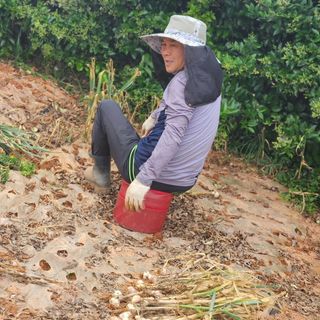 시골에 살어리랏다 님의 자유주제 · 사진전 작성글 사진