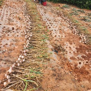 시골에 살어리랏다 님의 자유주제 · 사진전 작성글 사진