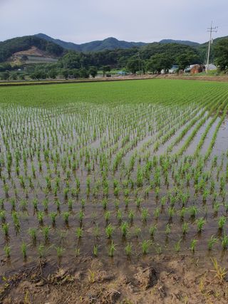 화양농장님의 사과 · 일상 작성글 사진