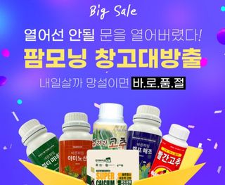 팜모닝 상점님의 장터이야기 · 자유게시판 작성글 사진