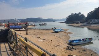 가을남성님의 양파 · 자유게시판 작성글 사진