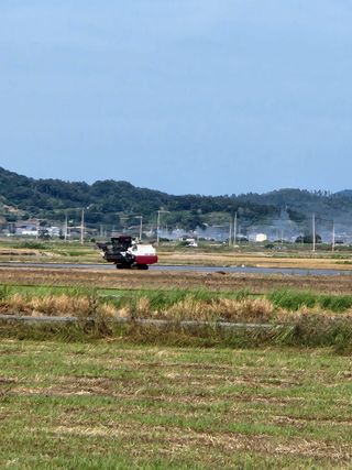 알 수 없음님의 우리동네 · 동네수다 작성글 사진
