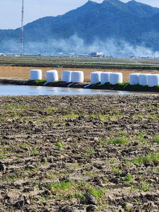 알 수 없음님의 우리동네 · 동네수다 작성글 사진