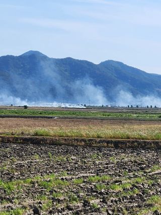 알 수 없음님의 우리동네 · 동네수다 작성글 사진