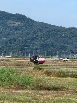 알 수 없음님의 우리동네 · 동네수다 작성글 사진