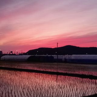 윤충기님의 우리동네 · 동네자랑 작성글 사진